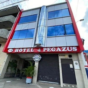 https://hotel-pegazus.guayaquilhotels.org